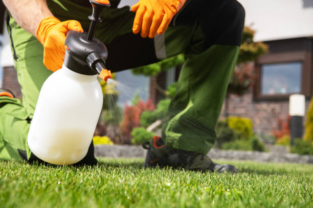 Best Pest Control Treatment  in Norco, LA