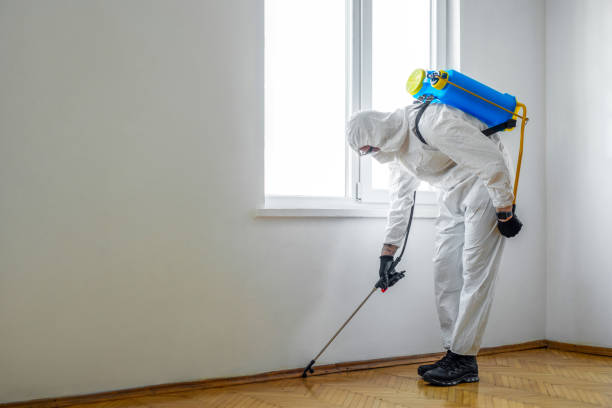 Best Best Pest Control Companies  in Norco, LA