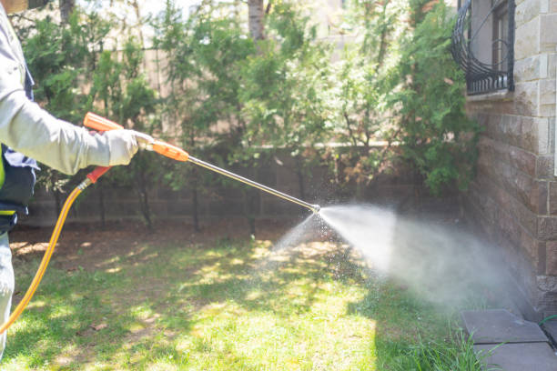 Best Wasp Removal Services  in Norco, LA