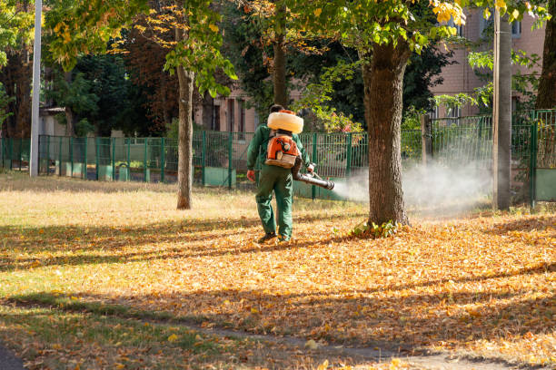Best Mosquito Control Services  in Norco, LA