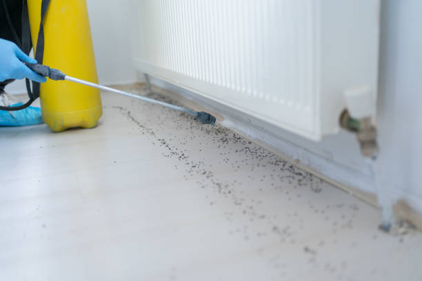 Best Best Pest Control Companies  in Norco, LA