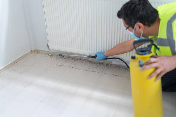 Best Affordable Pest Control Services  in Norco, LA